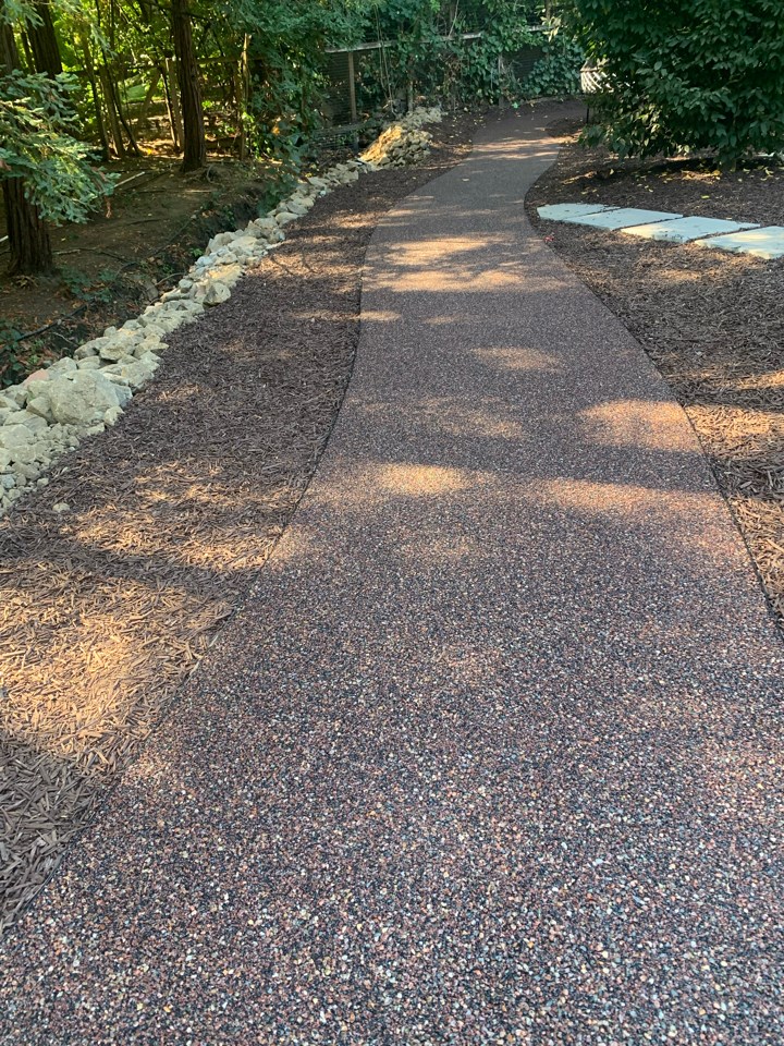 FG_Upper Ames Trail, Ross CA_2022